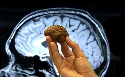 Andy Milns eats chocolate replica of his brain, London, Britain - 16 May 2012